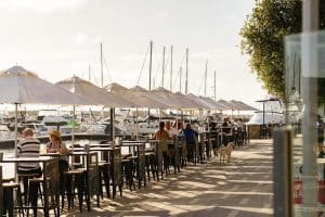 venue-208